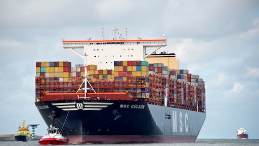 'Hamster-effect': export naar VS flink in de lift door importheffingen