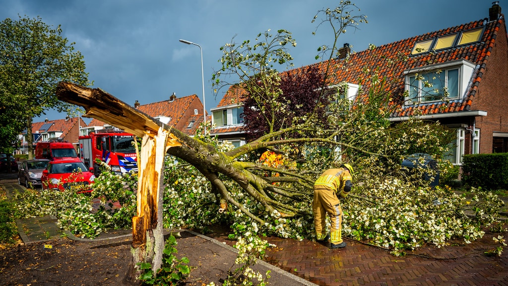Brandweerlieden zijn druk met het vrijmaken van de weg in Alphen aan den Rijn, nadat een boom is omgewaaid en de weg blokkeert.
