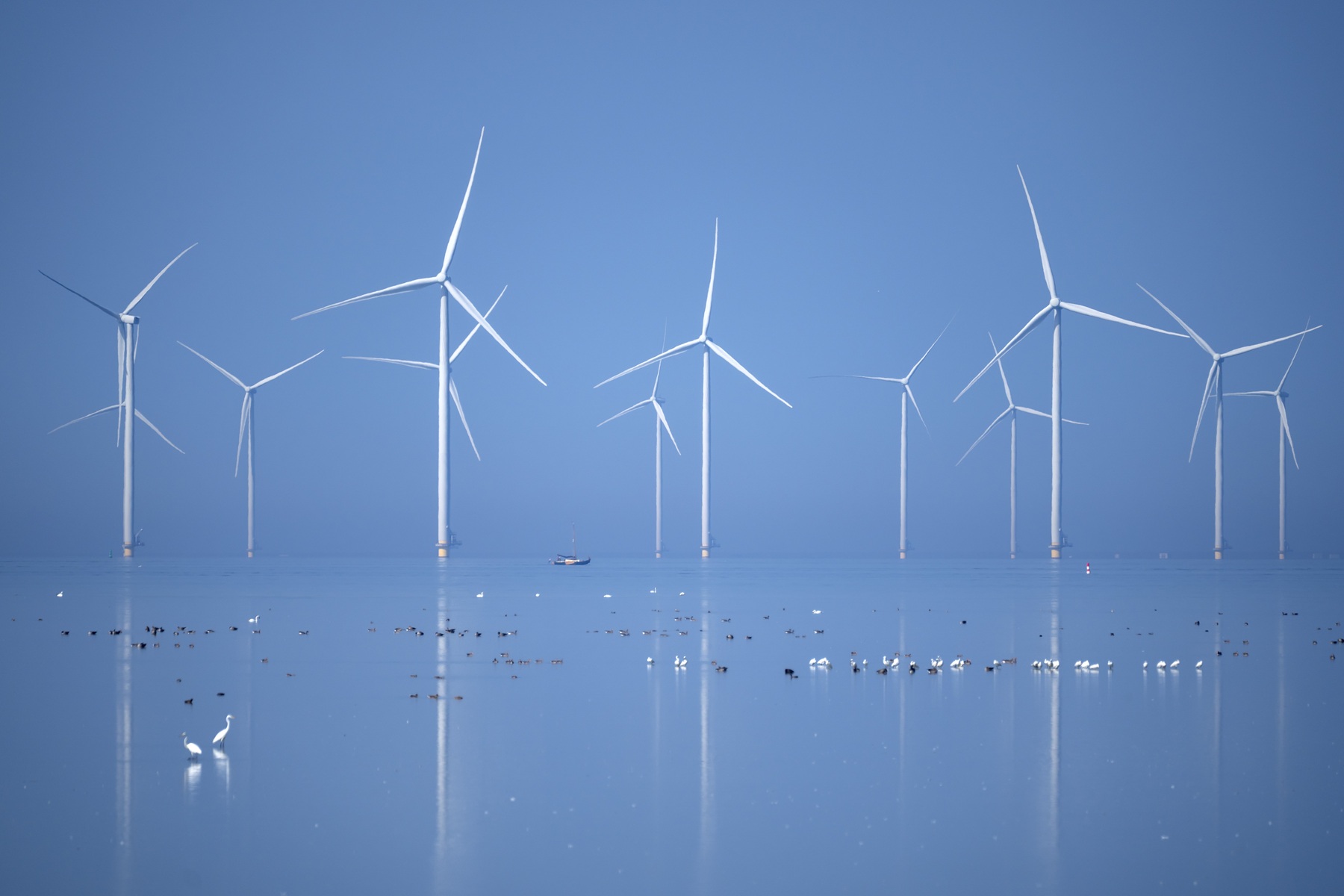 Enorm veel wind zorgt voor 24 uur aan gratis stroom, maar lang niet voor iedereen