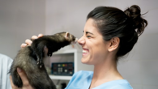 Weer eens wat anders: 7 bijzondere dieren die je als huisdier kunt houden