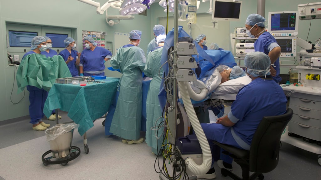 Groene Hart Ziekenhuis zegt alle geplande operaties af: fruitvliegjes in operatiekamers