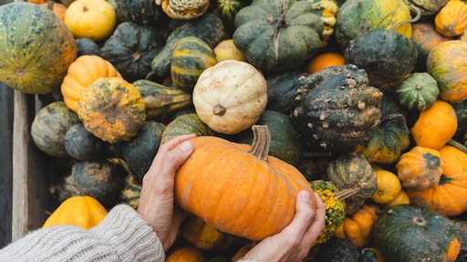 Voedzame krachtpatser: waarom pompoen veel meer is dan alleen herfstdecoratie