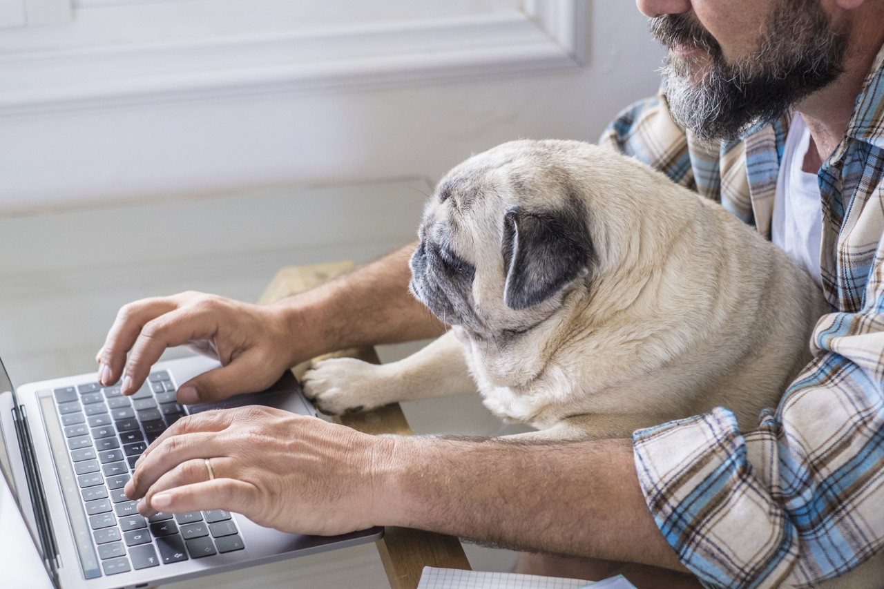 Fysiotherapeut wint rechtszaak: hond Pep blijft welkom in praktijk