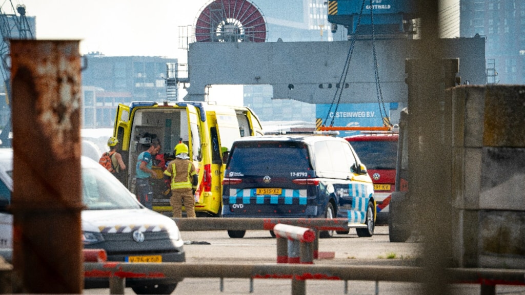 Strafrechtelijk onderzoek naar havenbedrijf Steinweg na dodelijke ongevallen