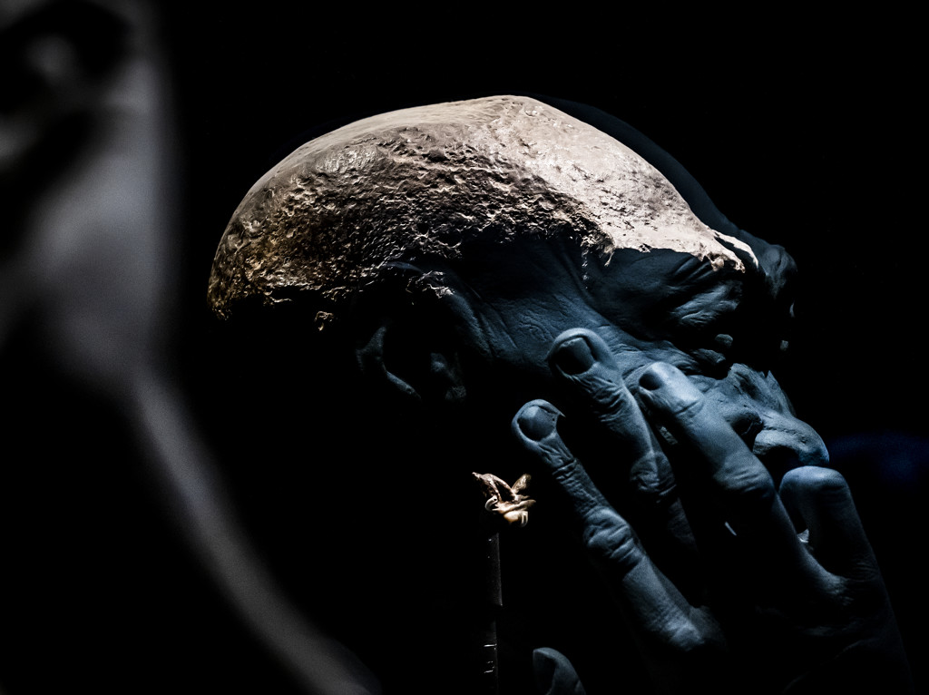 Javamens-schedel keert terug naar Indonesië: 'Herstel van koloniale wonden'