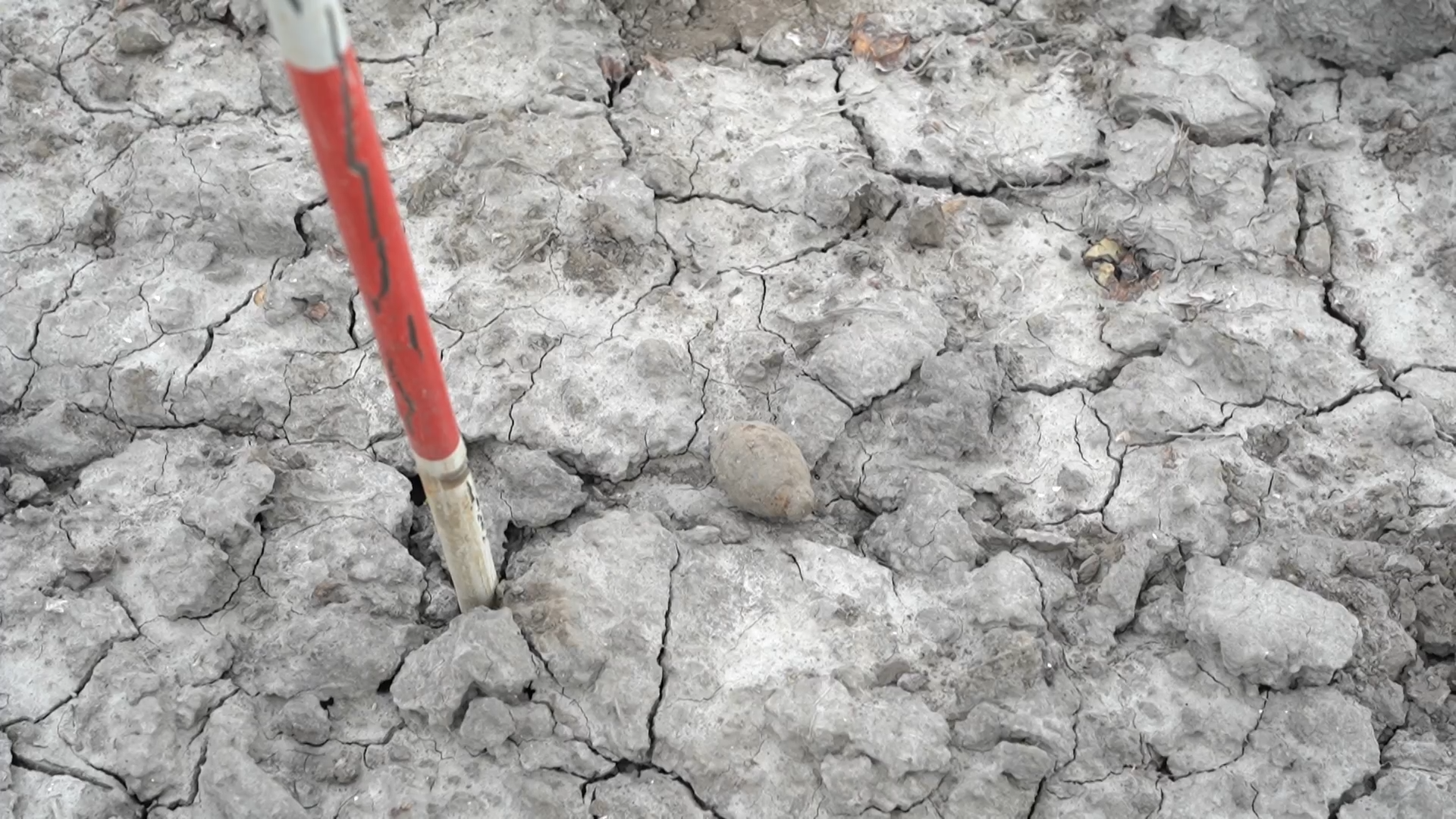 De handgranaat, terug op het land.