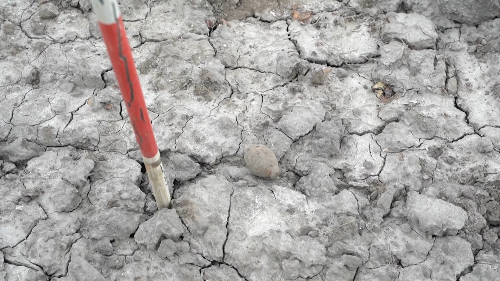 De handgranaat, terug op het land.