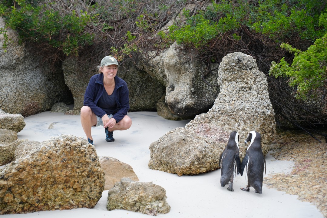 "De kleine dappere obertjes. Zouden ze weten dat ze uitsterven?"