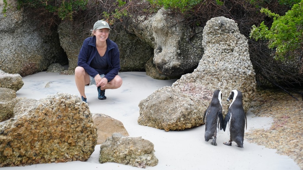 "De kleine dappere obertjes. Zouden ze weten dat ze uitsterven?"