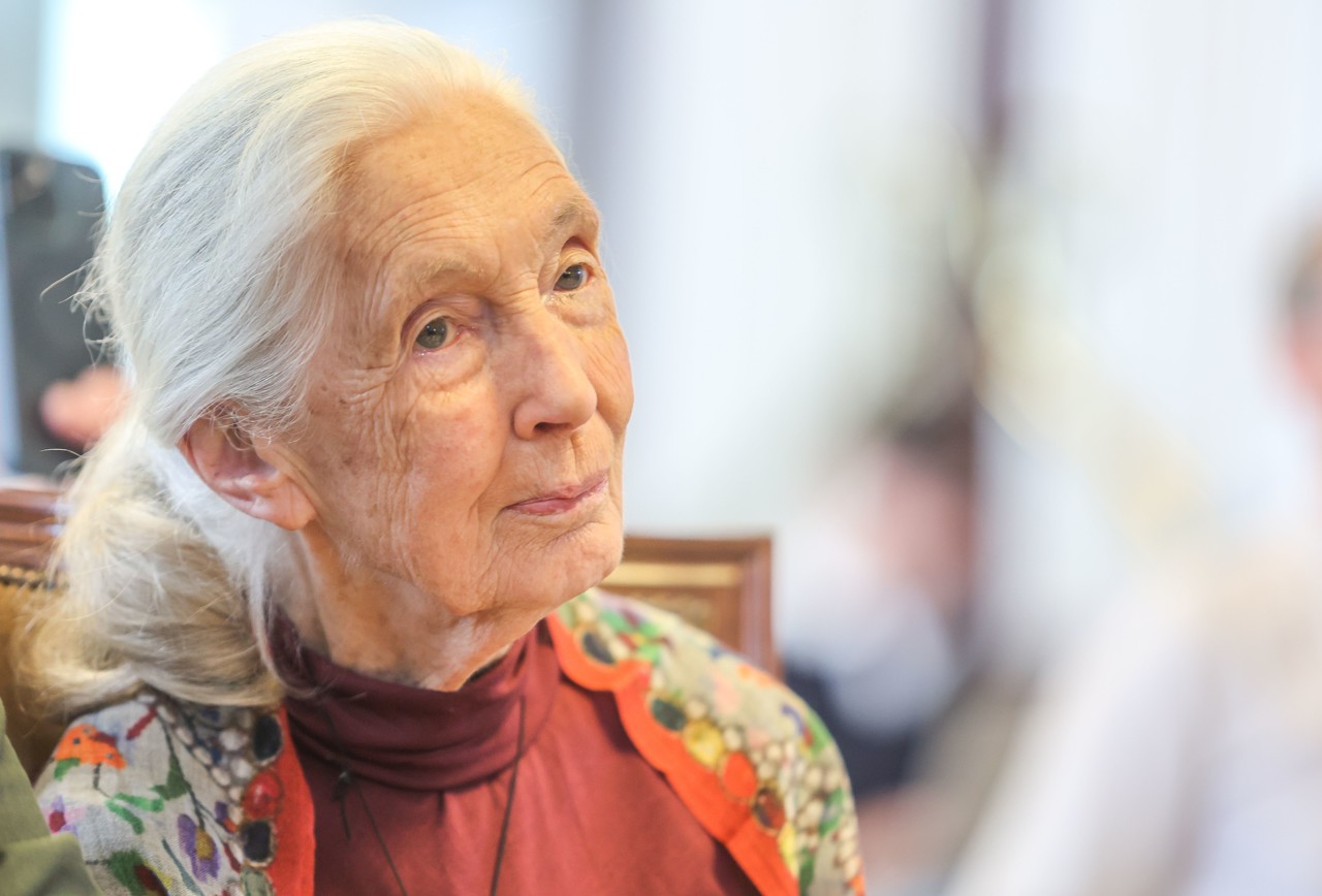Bekende Britse chimpansee-onderzoeker Jane Goodall (91) overleden