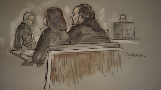 Pleegouders mishandeld meisje Vlaardingen verminderd toerekeningsvatbaar