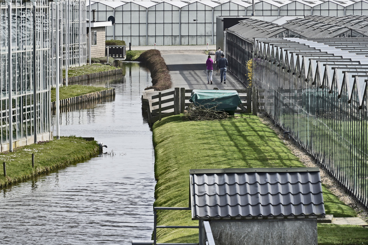 Arbeidsinspectie legt boetes op na 'uitbuiting' Oekraïners in kassen