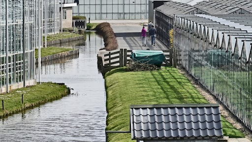 Arbeidsinspectie legt boetes op na 'uitbuiting' Oekraïners in kassen