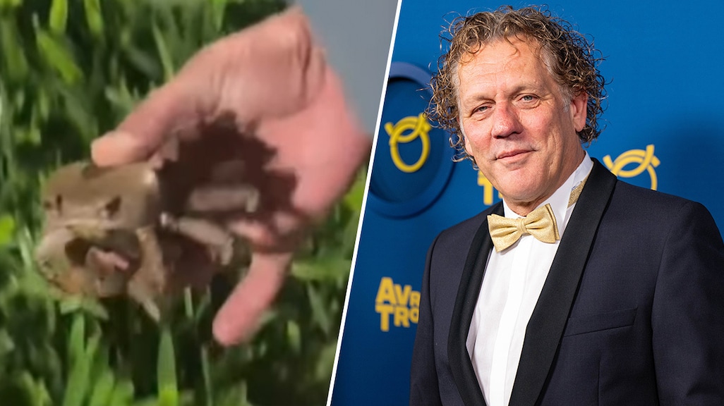 Kees van der Spek roept hulp Freek Vonk in na incident met krab: 'Auw!'
