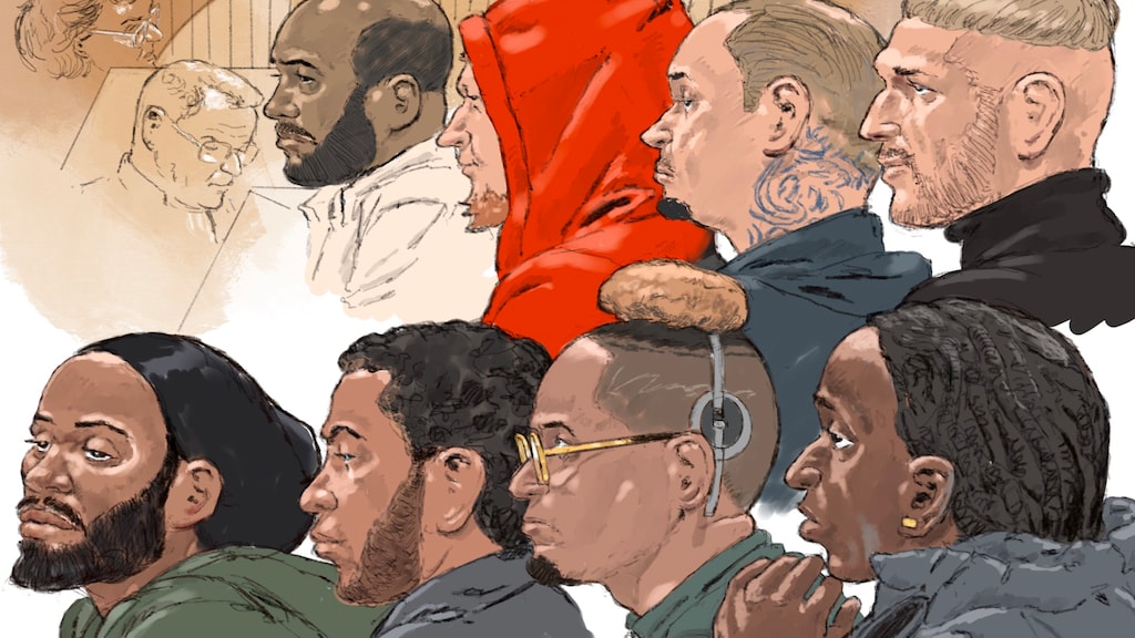 OM eist levenslange celstraffen voor 'gruwelijke en laffe' moord Peter R. de Vries