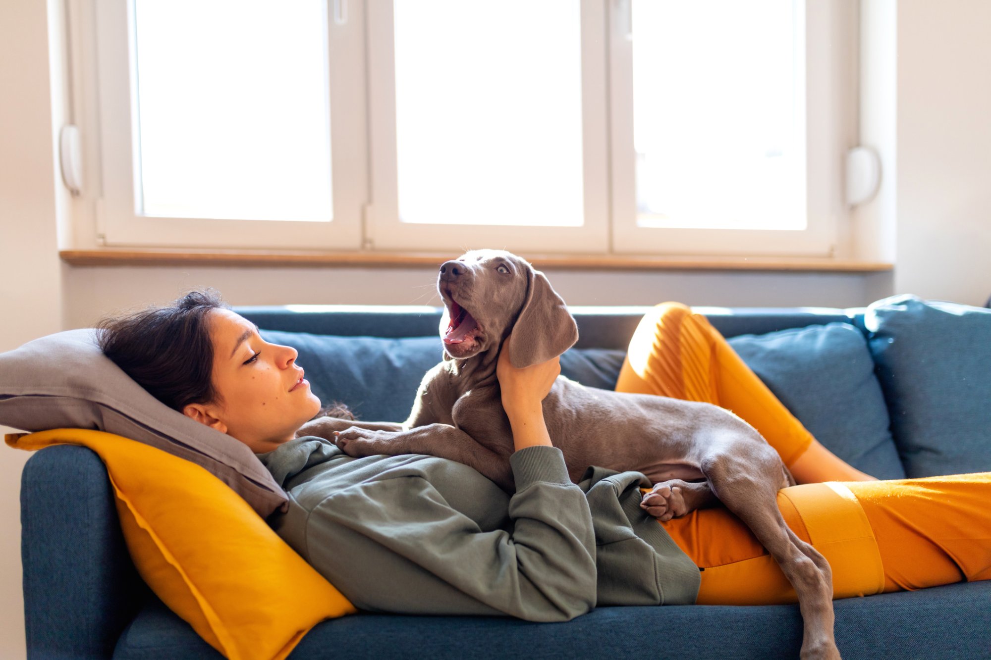 Wat de vieze adem van je huisdier écht zegt over zijn gezondheid