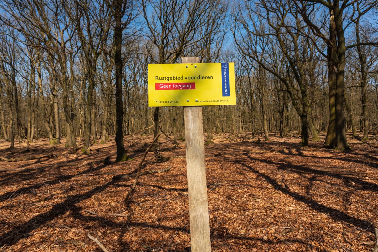 Tientallen boetes voor wolventoeristen sinds afsluiting paden natuurgebied