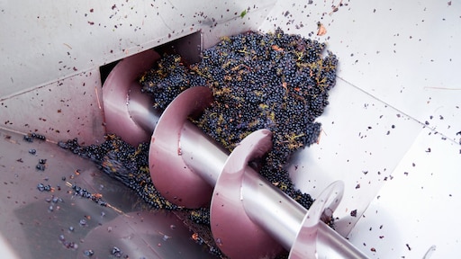 Italiaanse wijnboer (44) omgekomen door ongeluk met eigen druivenpers