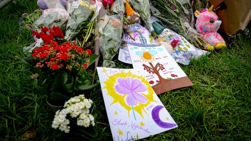 Omstanders filmen na dodelijk ongeluk meisje (10): 'Stel je eens voor dat het je eigen kind is'