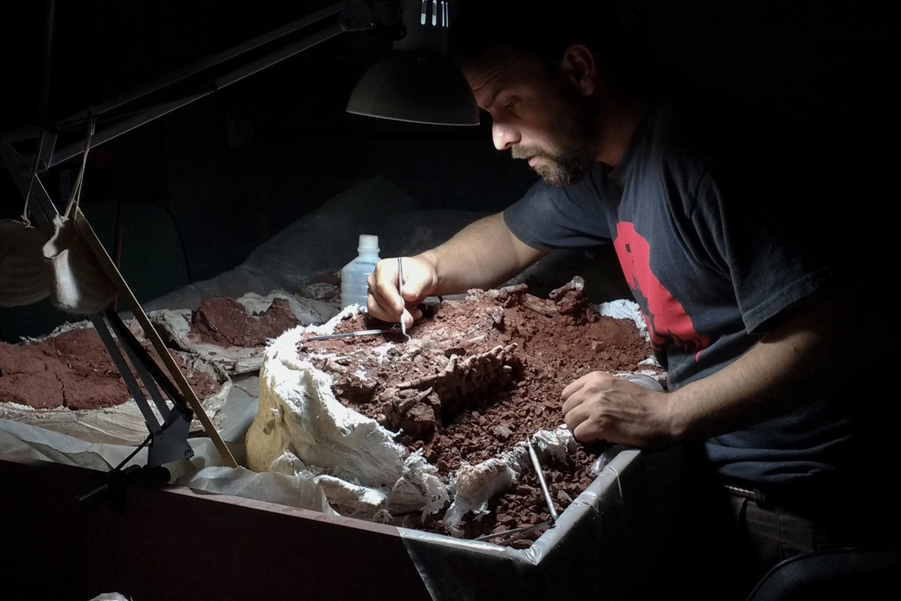 Archeologen vinden een van de oudste dinoskeletten ooit