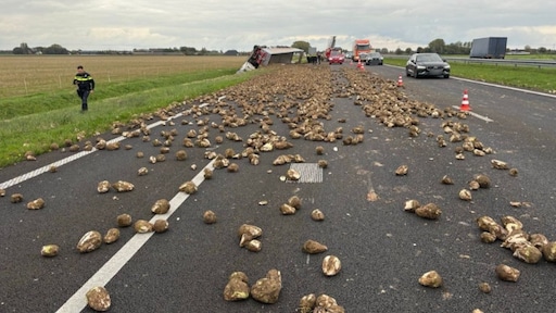 Grote drukte op weg door begin herfstvakantie, A59 bezaaid met suikerbieten