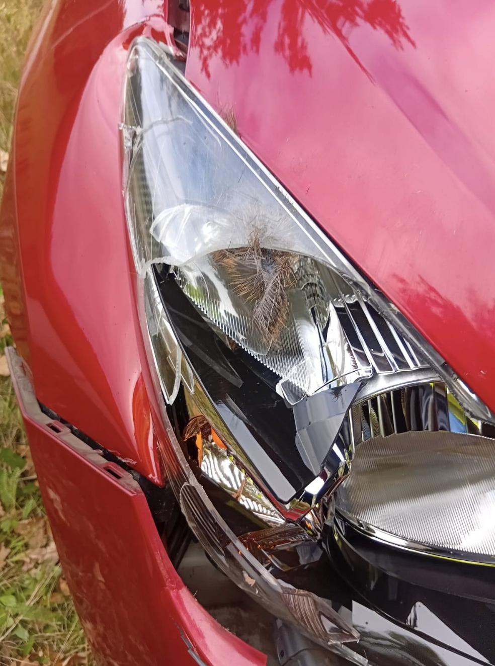 De auto die de reebok aanreed, was flink beschadigd.