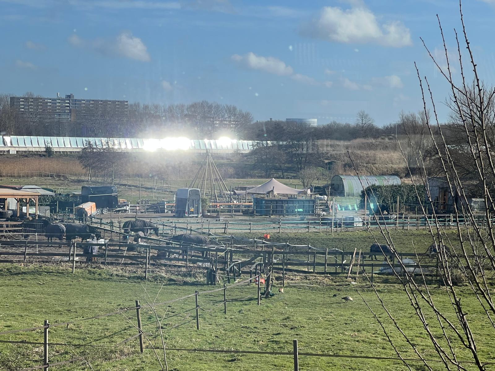  Bij manege langs de snelweg schrikken de paarden van het felle licht, vertelt de eigenaar. 