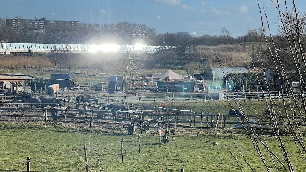 Bij manege langs de snelweg schrikken de paarden van het felle licht, vertelt de eigenaar.