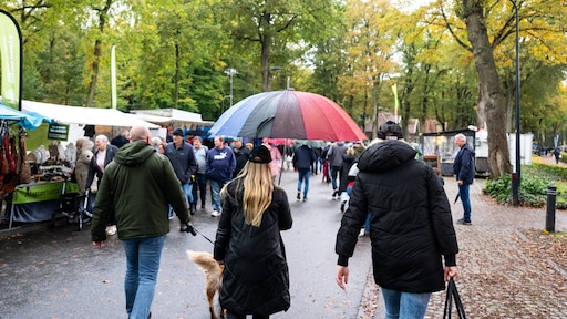 Stilte voor de storm: vandaag aardig weer, morgen zeer zware windstoten