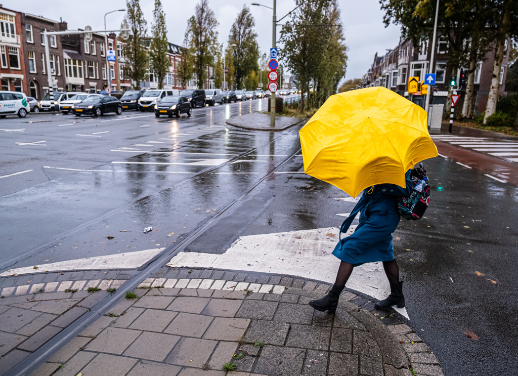 Wind blijft vandaag en dit weekend sterk, en er is weinig ruimte voor de zon