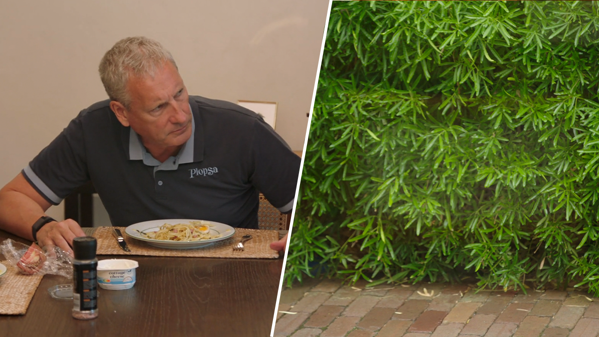 Gert Verhulst maakt zich in De Verhulstjes zorgen om planten in de tuin: 'Is dat geen marihuana?'