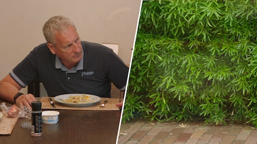Gert Verhulst maakt zich in De Verhulstjes zorgen om planten in de tuin: 'Is dat geen marihuana?'