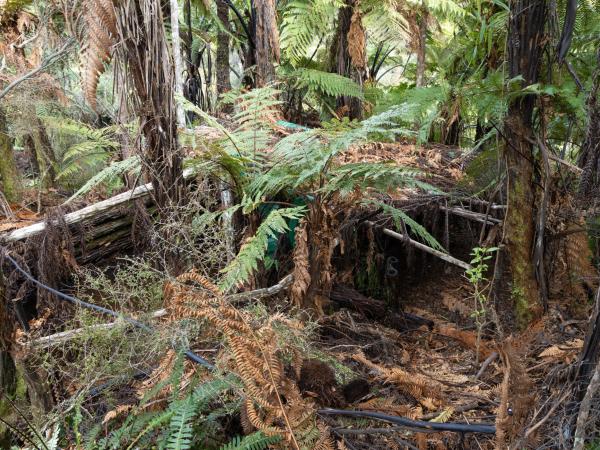 Kamp ten oosten van Marokopa