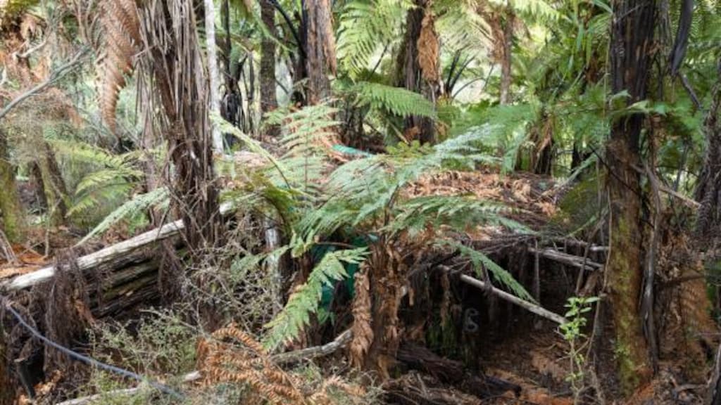Kamp ten oosten van Marokopa