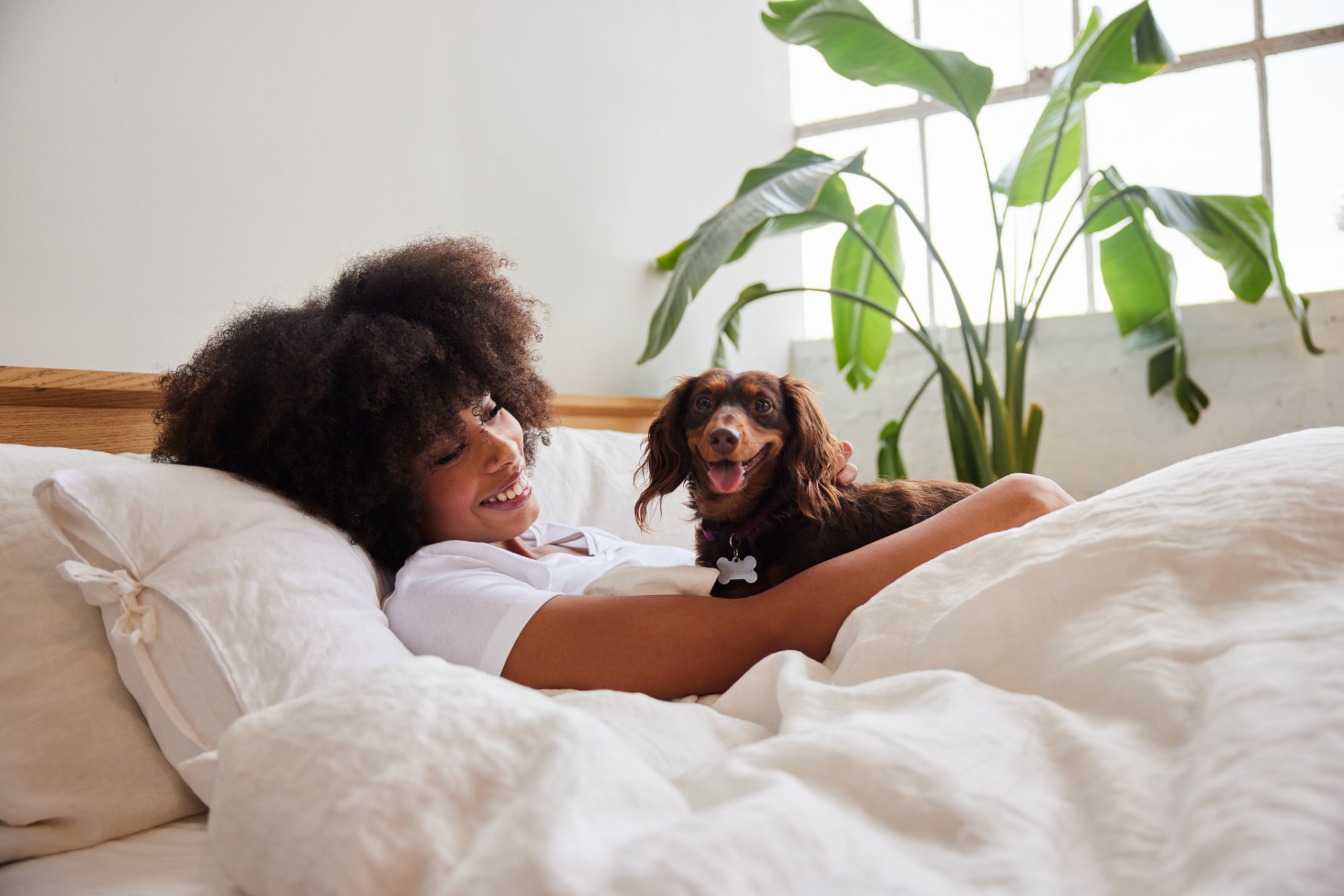 Hond wel of niet in bed? Dit zijn de voor- en nadelen