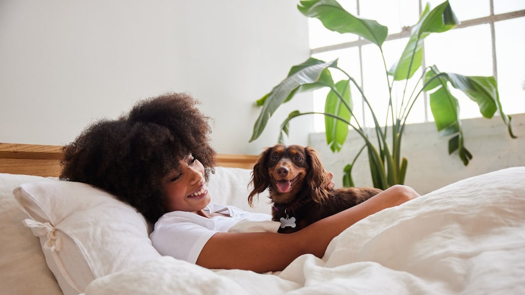 Hond wel of niet in bed? Dit zijn de voor- en nadelen