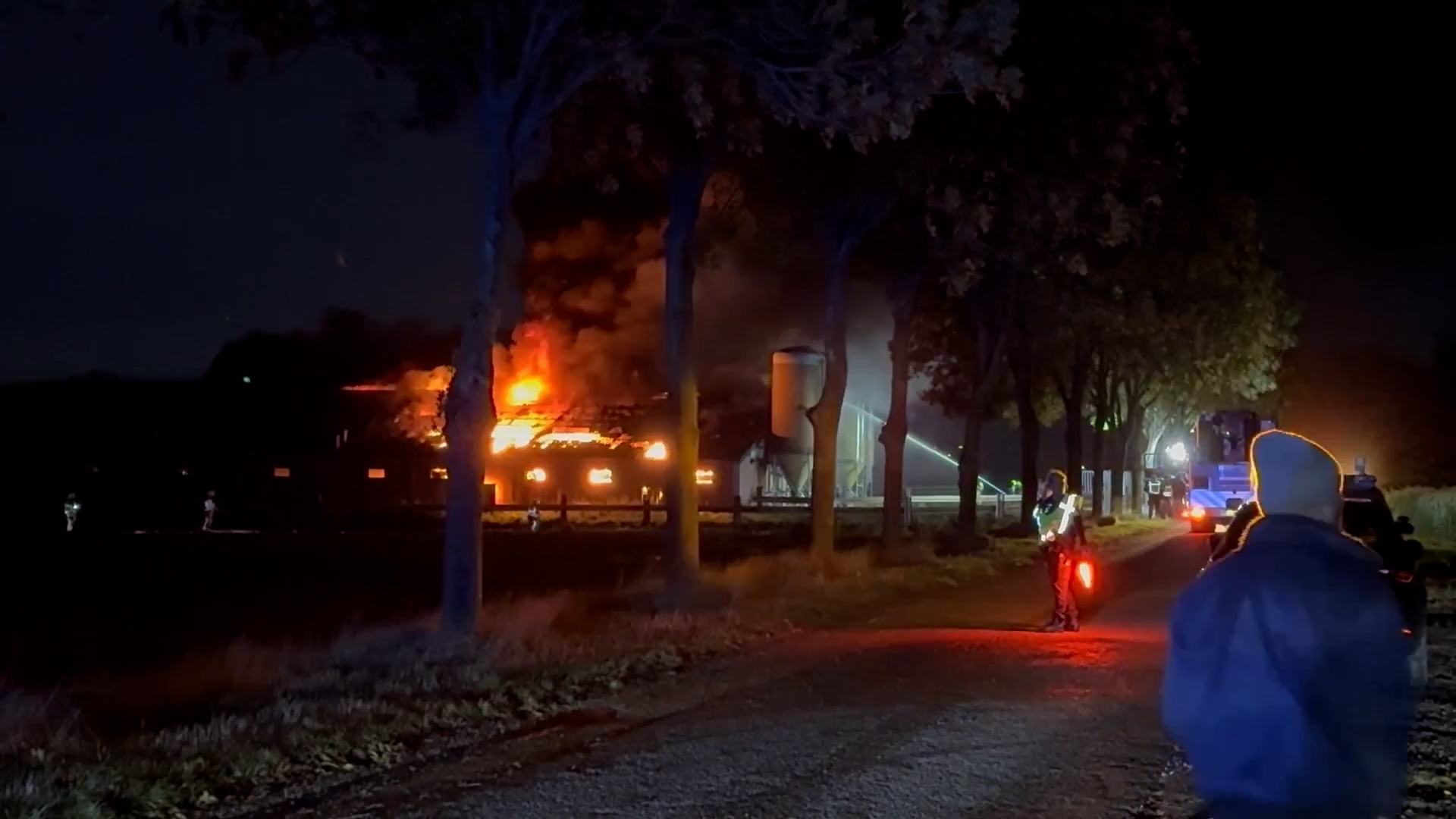 Zevenhonderd varkens dood bij stalbrand in Limburg