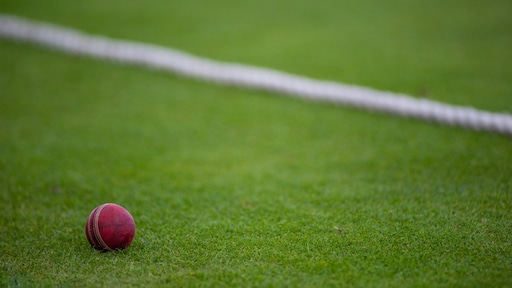 Tiener (17) komt om door bal tegen nek op cricketveld in Melbourne