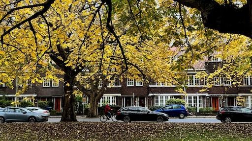 Van motregen naar lenteachtige temperaturen: zachte novemberdagen in aantocht