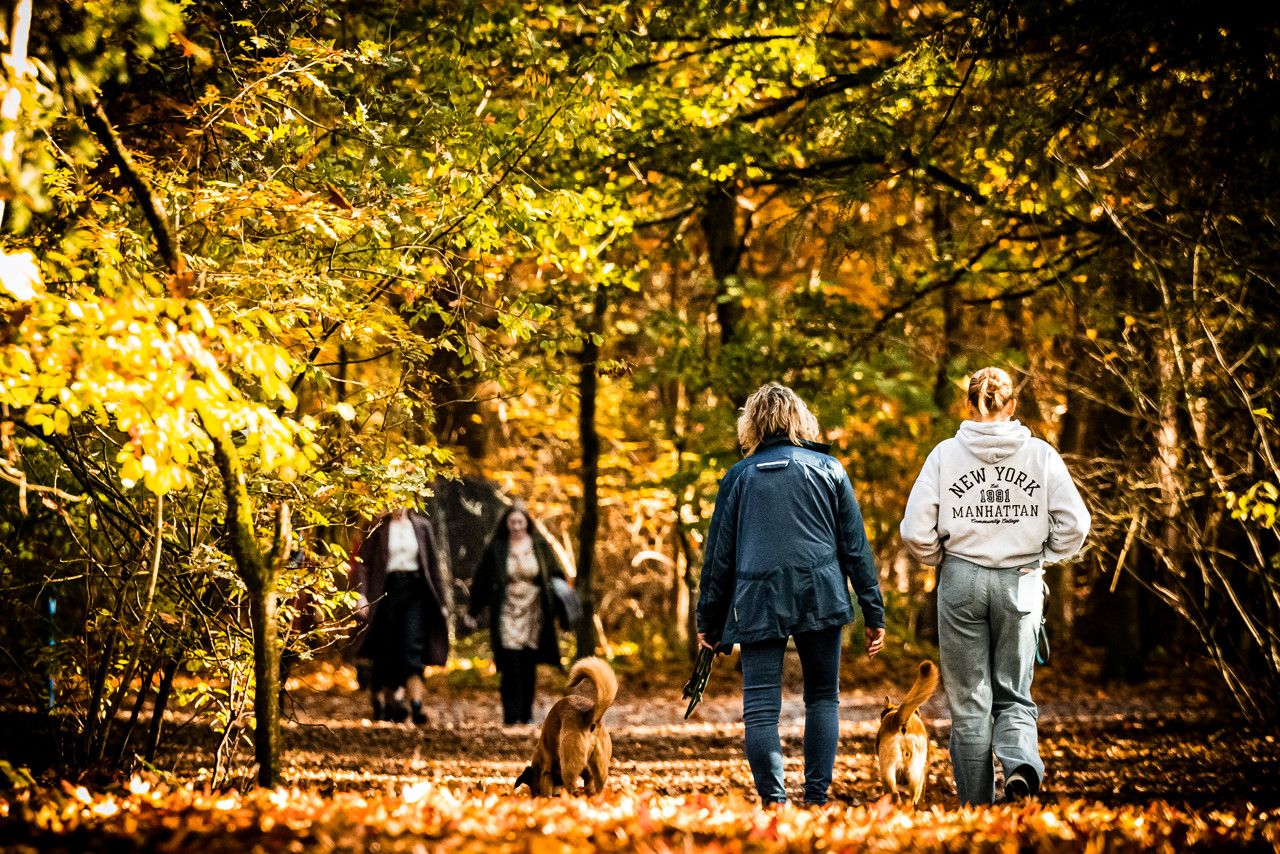 Warmste 5 november sinds begin metingen in De Bilt