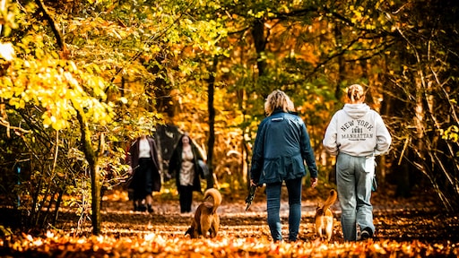 Warmste 5 november sinds begin metingen in De Bilt