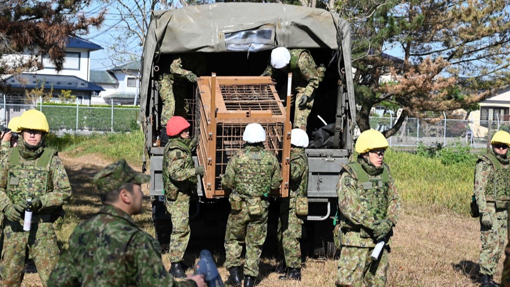 12 doden door beren in Japan, leger ingezet om dieren te vangen