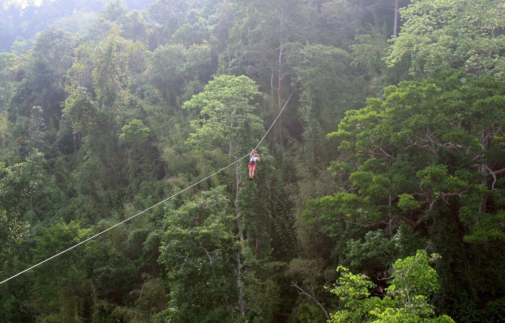 Vader en zoon doodgestoken door zwerm wespen tijdens ziplinen in Laos