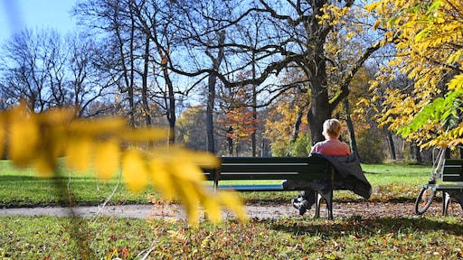 Nog twee dagen lenteachtig en zonnig novemberweer, daarna komt de mist