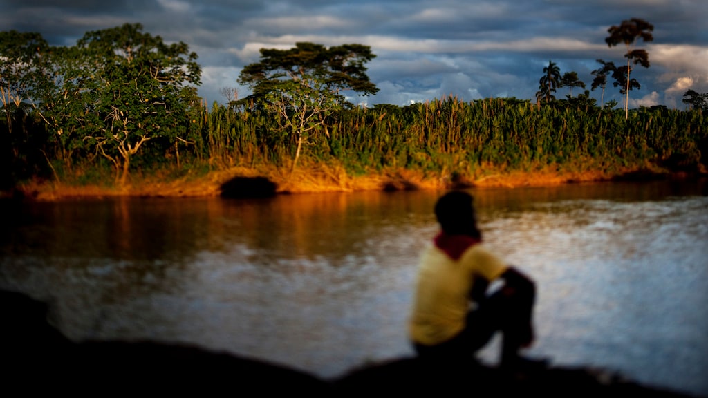 Klimaattop van start op bijzondere plek: in het Amazoneregenwoud