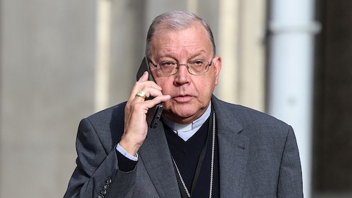 Paus Leo dwingt bisschop tot opstappen vanwege seksuele relatie