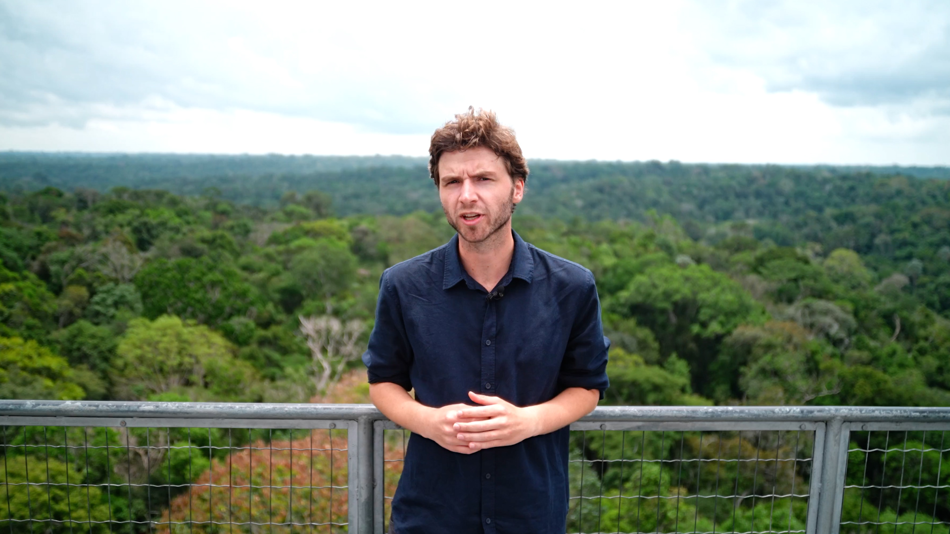 Amazone bijna niet meer te redden en dat gaat de hele wereld voelen