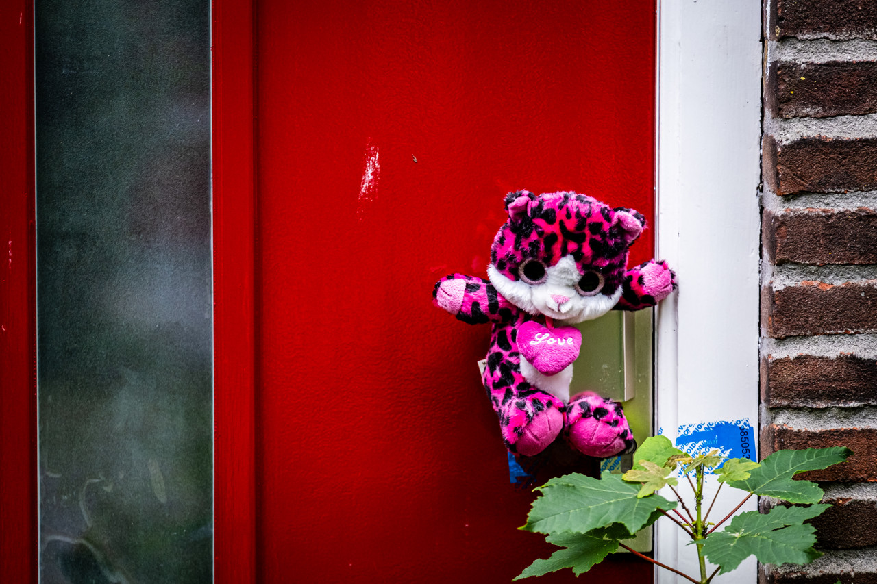 Pleegouders Vlaardingen leggen deel schuld bij betrokken instanties