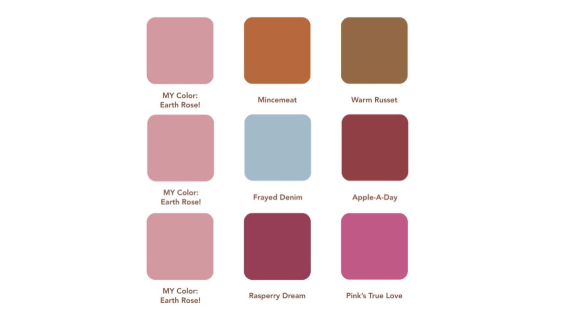 Kleurencombinaties met Earth Rose