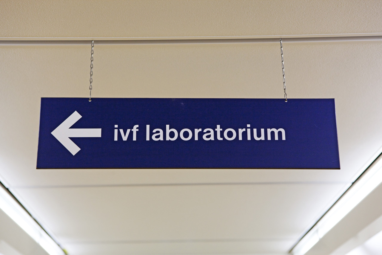 Voor tienduizenden euro's een embryo uitkiezen op basis van IQ en lengte